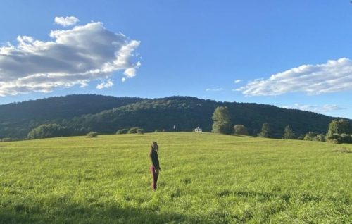 A person stands in a grassy field under a blue sky with clouds, surrounded by rolling hills.