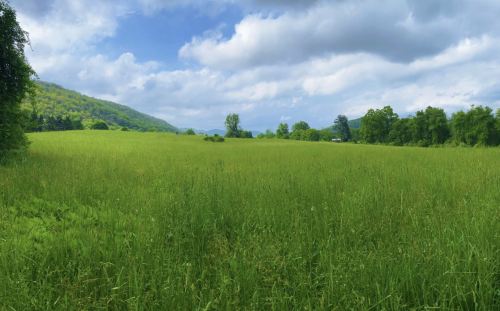 Lush green field under a partly cloudy sky, surrounded by rolling hills and trees in the distance.