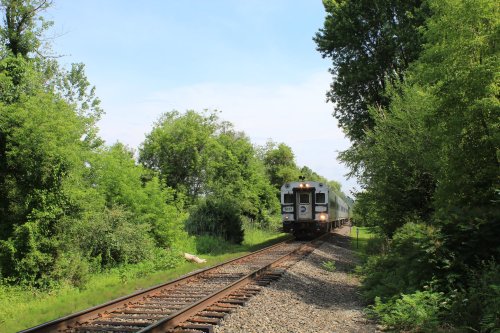A train approaches on a track surrounded by lush greenery and trees under a clear blue sky.