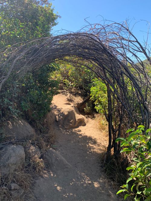A natural archway made of branches frames a dirt path surrounded by greenery.