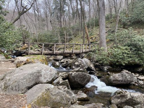 A wooden bridge spans a rocky stream surrounded by trees and greenery in a serene forest setting.
