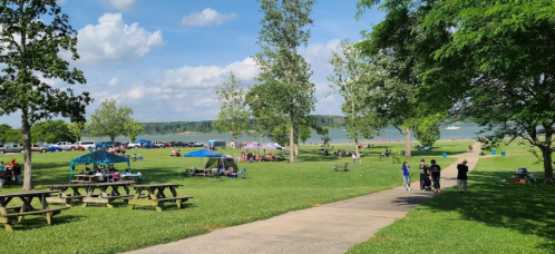 A sunny park by a lake with people enjoying picnics, trees, and picnic tables on a grassy area.