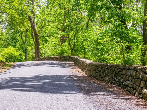 A winding road surrounded by lush green trees and a stone wall on one side, under bright sunlight.