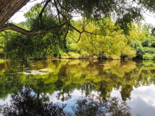 A serene river scene with lush green trees reflecting in calm water under a clear sky.