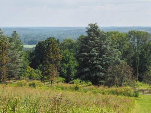 A scenic view of rolling green hills and trees under a cloudy sky, with a wooden fence in the foreground.