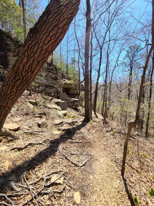 A winding trail through a wooded area with rocky outcrops and tall trees under a clear blue sky.