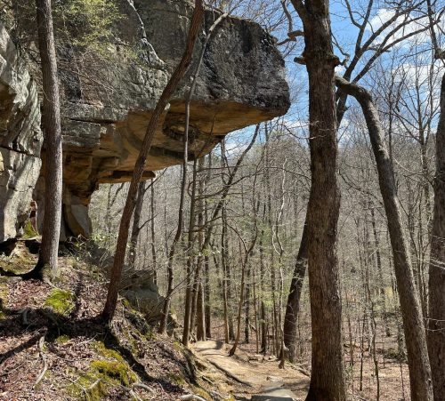 A rocky overhang juts out from a cliff, surrounded by bare trees and a winding path in a forested area.
