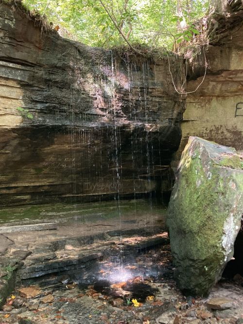 A small waterfall cascades over a rocky cliff, surrounded by lush greenery and sunlight filtering through the trees.