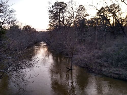 A calm river flows through a wooded area, with bare trees lining the banks under a soft sunset sky.