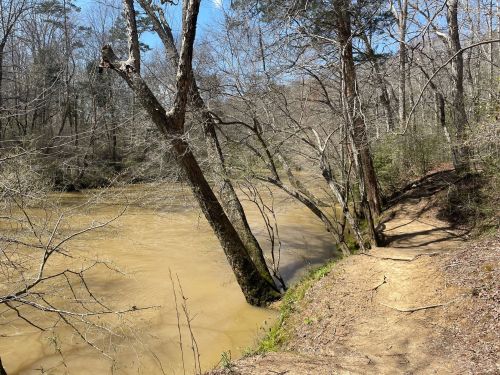 A winding river flows beside a dirt path, flanked by bare trees and a clear blue sky.