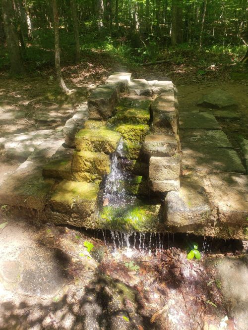 A small stone fountain with water flowing over moss-covered bricks, surrounded by lush green forest.