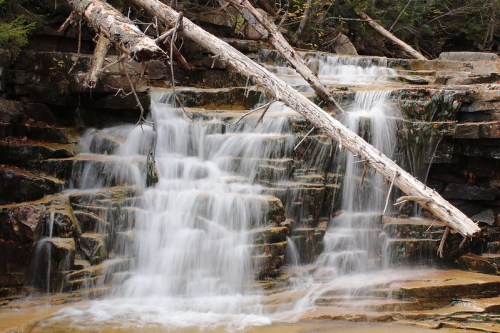 A serene waterfall cascades over rocky steps, surrounded by fallen branches and lush greenery.
