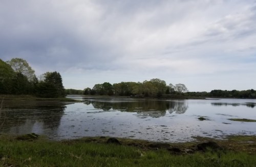 A serene lake surrounded by greenery, with calm waters reflecting the cloudy sky and distant trees.