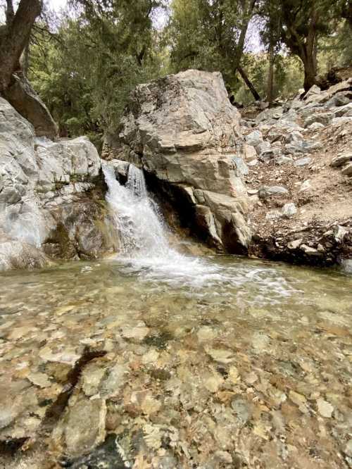 A small waterfall cascades over rocks into a clear pool, surrounded by trees and rocky terrain.