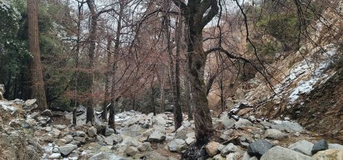 A rocky stream flows through a forest of bare trees, with patches of snow on the ground and rocky terrain.