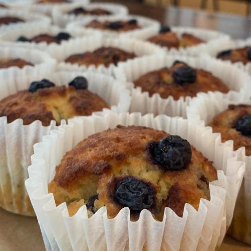 A close-up of freshly baked muffins with blueberries, arranged in white paper liners on a tray.