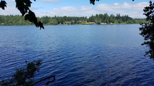 A serene lake surrounded by lush greenery and distant trees under a partly cloudy sky.