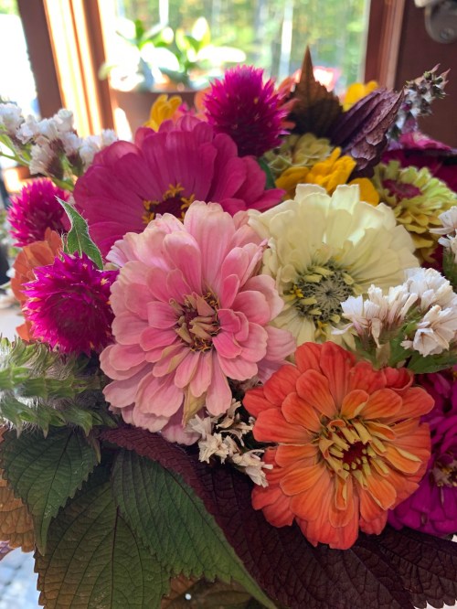 A vibrant bouquet of mixed flowers, featuring pink, orange, yellow, and white blooms with lush green leaves.