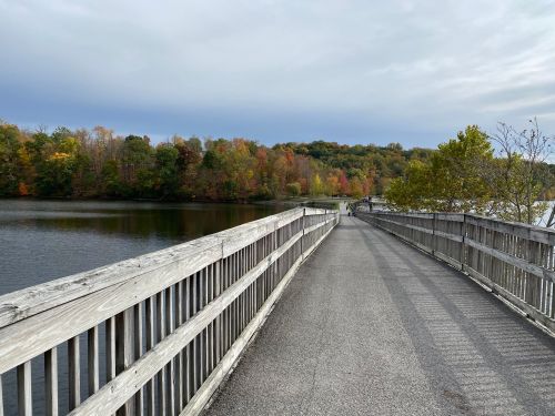 A wooden walkway leads to a calm lake, surrounded by trees with autumn foliage under a cloudy sky.