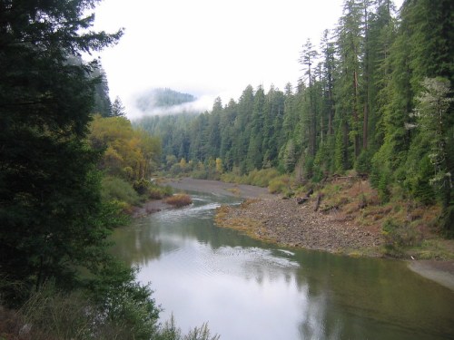A serene river flows through a lush forest, with misty mountains in the background and autumn foliage along the banks.