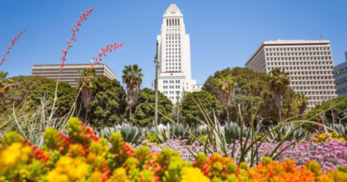Colorful flowers in the foreground with a city skyline and palm trees under a clear blue sky in the background.