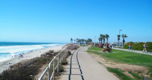 A scenic beachside path with palm trees, people walking, and cyclists along the shore under a clear blue sky.