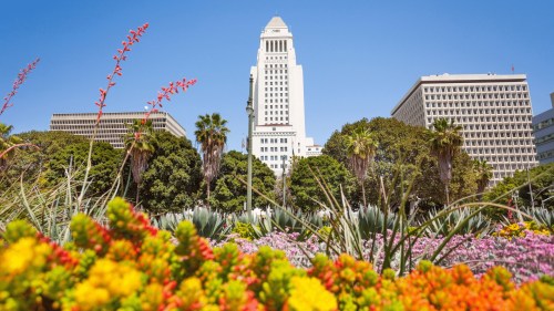 A vibrant garden with colorful flowers in the foreground, featuring tall buildings and palm trees under a clear blue sky.