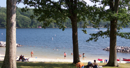 A serene lakeside scene with people swimming, sunbathing, and enjoying the beach under tall trees.