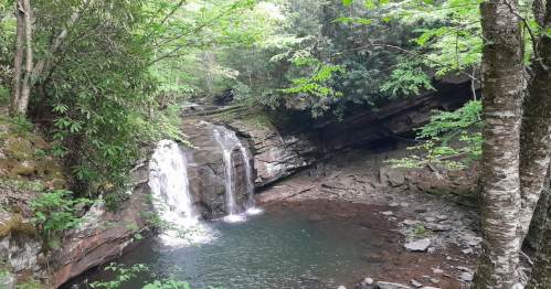 A serene waterfall cascades into a rocky pool, surrounded by lush green trees and foliage.
