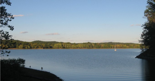 A serene lake surrounded by trees under a clear blue sky, with gentle ripples on the water's surface.
