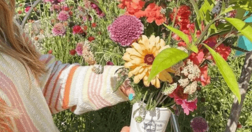 A person holds a bouquet of colorful flowers in a garden, wearing a striped sweater.