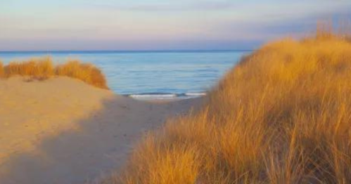 A sandy path leads to a calm ocean, framed by golden grass under a pastel sky at sunset.