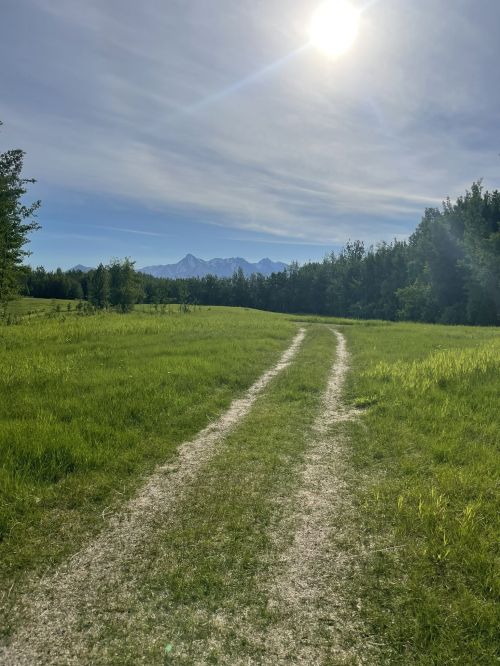 A dirt path winds through a green field, leading towards distant mountains under a bright sun and blue sky.