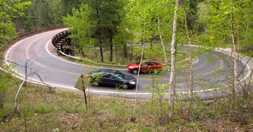 Two cars navigate a winding road surrounded by lush green trees and foliage.