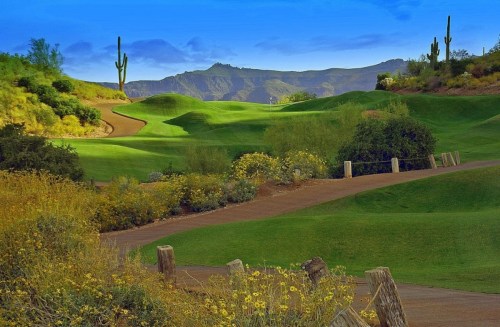 A scenic landscape featuring rolling green hills, desert plants, and a mountain backdrop under a blue sky.