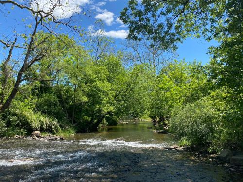 A serene river flows through lush greenery under a bright blue sky with scattered clouds.