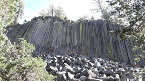 A rocky cliff with vertical basalt columns, surrounded by trees and scattered boulders on the ground.