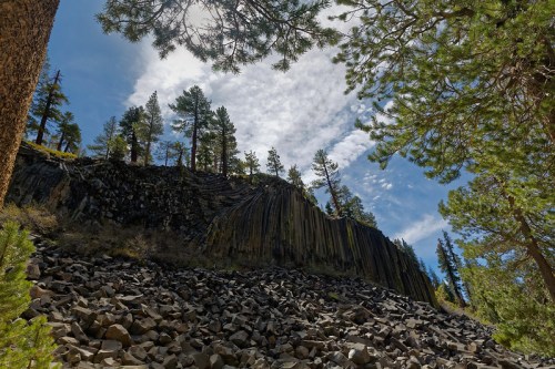 A rocky landscape with tall trees and a cliff of basalt columns under a partly cloudy sky.