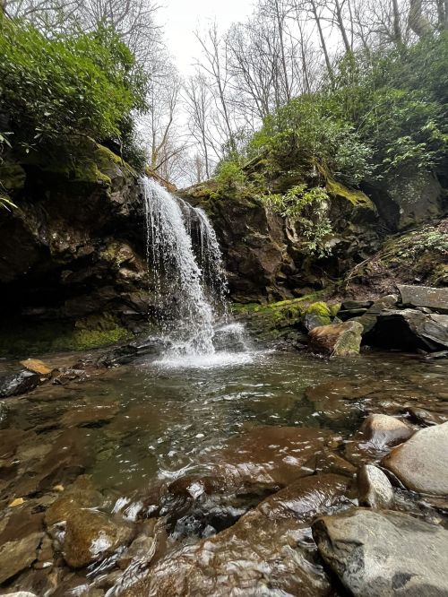 A serene waterfall cascades over rocks into a clear pool, surrounded by lush greenery and trees.