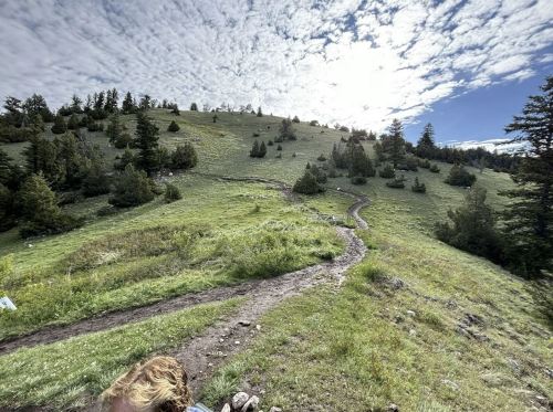 A winding dirt path leads through a grassy hillside, surrounded by trees under a partly cloudy sky.