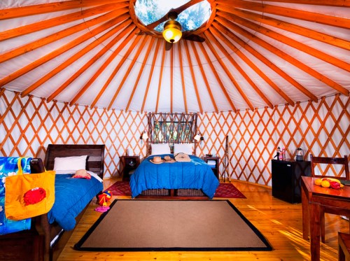 Cozy yurt interior with wooden beams, two beds, a rug, and a warm, inviting atmosphere.