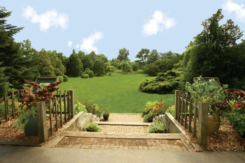 A serene garden view with lush greenery, steps leading down, and a clear blue sky with fluffy clouds.