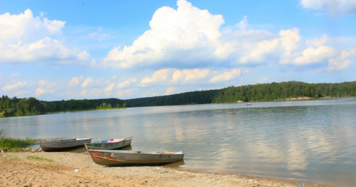 A serene lake scene with three boats on the shore, surrounded by trees and fluffy clouds in a blue sky.