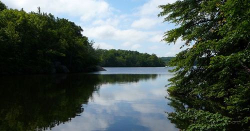 A serene lake surrounded by lush green trees under a partly cloudy sky, reflecting the landscape on the water's surface.