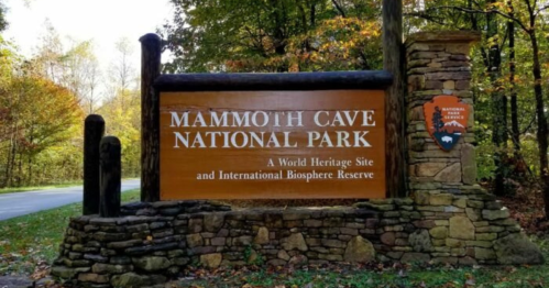 Sign for Mammoth Cave National Park, featuring a wooden structure and stone base, surrounded by trees in autumn.