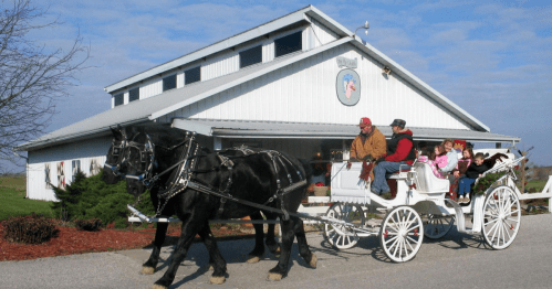 A horse-drawn carriage with passengers passes by a white barn under a blue sky.