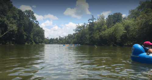 A peaceful river scene with lush greenery and people floating on inner tubes in the distance under a blue sky.