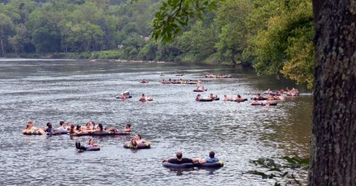 People floating on inner tubes in a river, surrounded by lush greenery and trees along the banks.