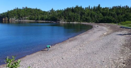 A serene beach scene with a person collecting stones, surrounded by lush green trees and calm blue water.