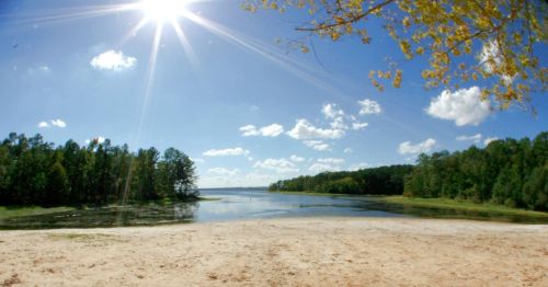 A sunny lakeside view with a sandy shore, surrounded by lush green trees and a clear blue sky with fluffy clouds.